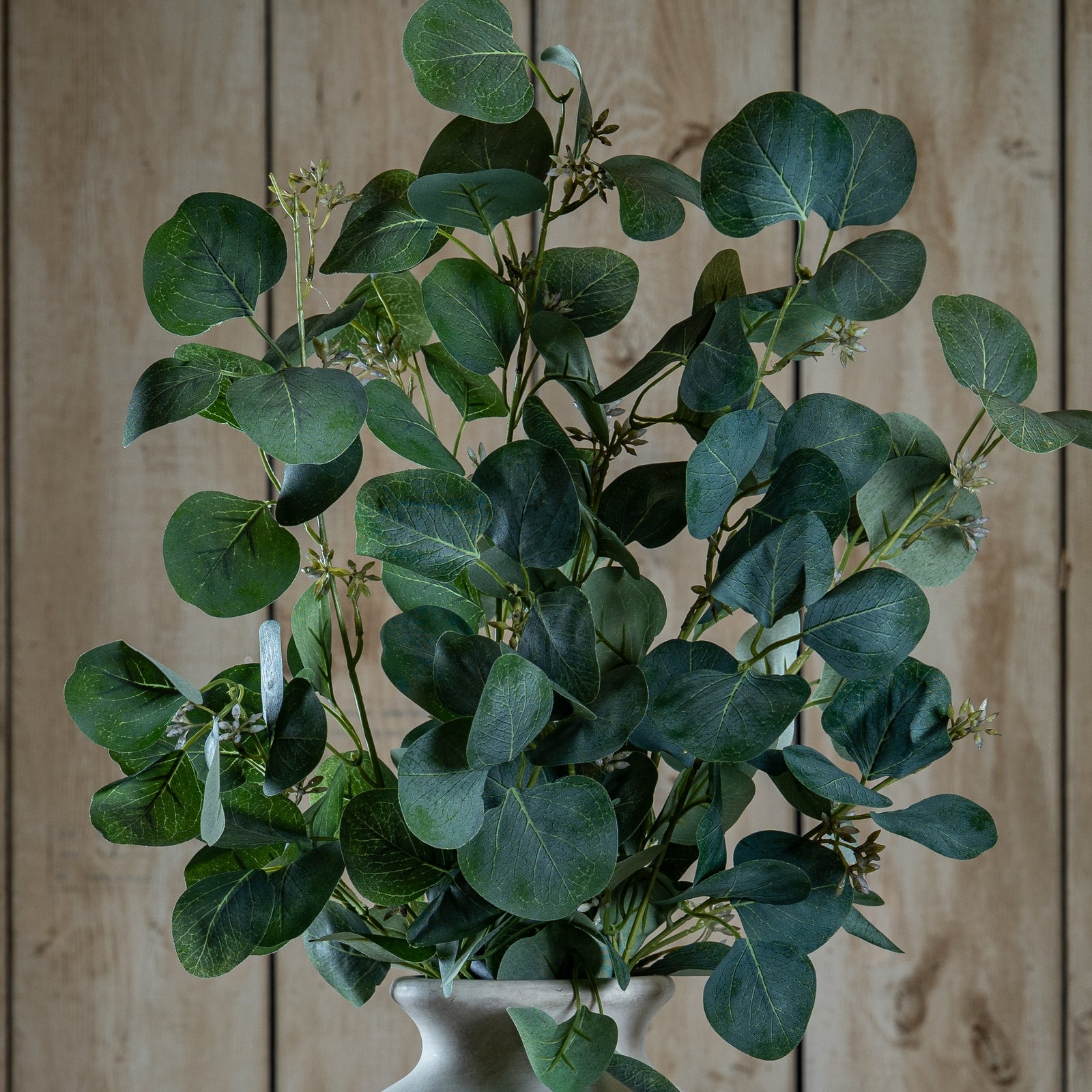 Eucalyptus Stem Spray
