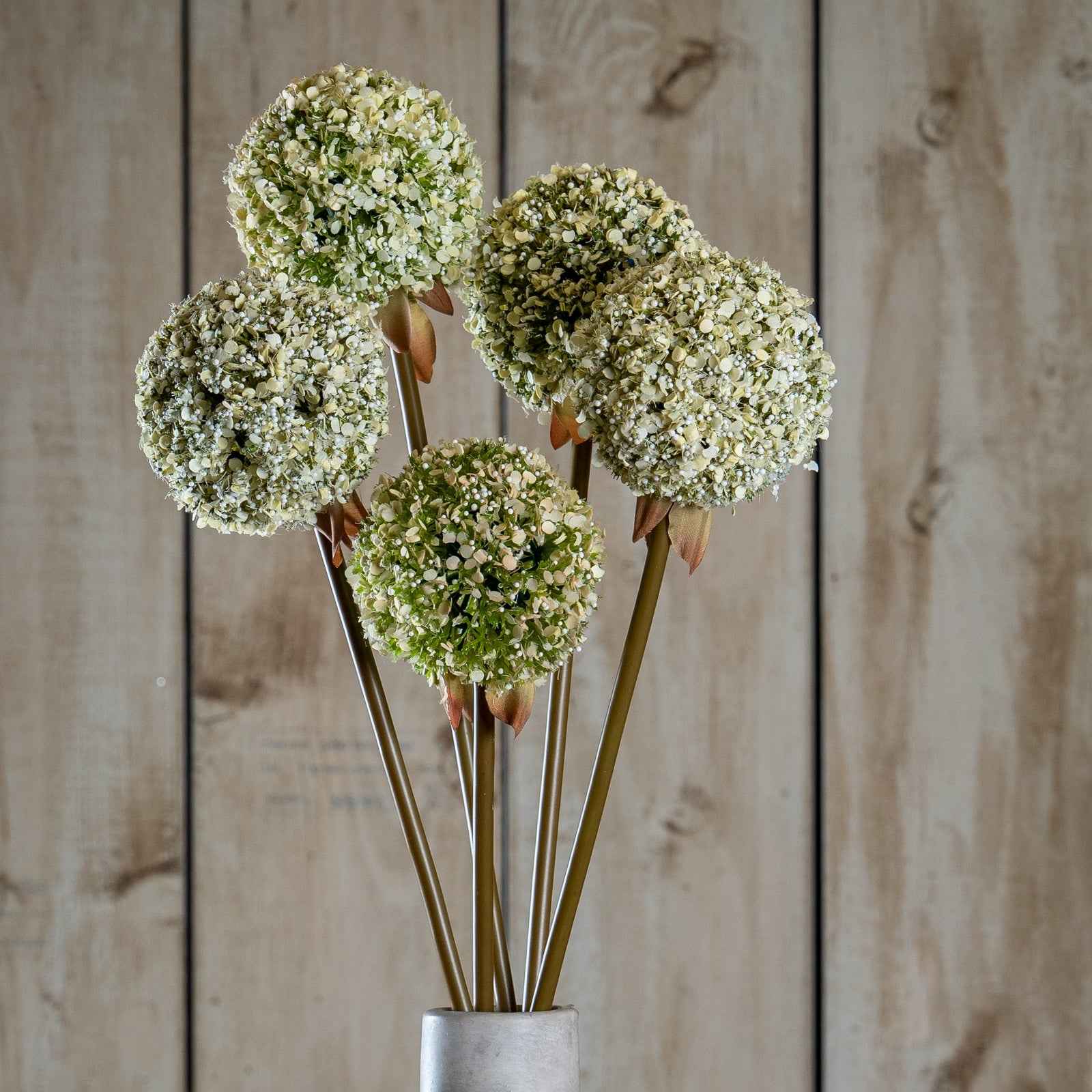 Green Allium Stem