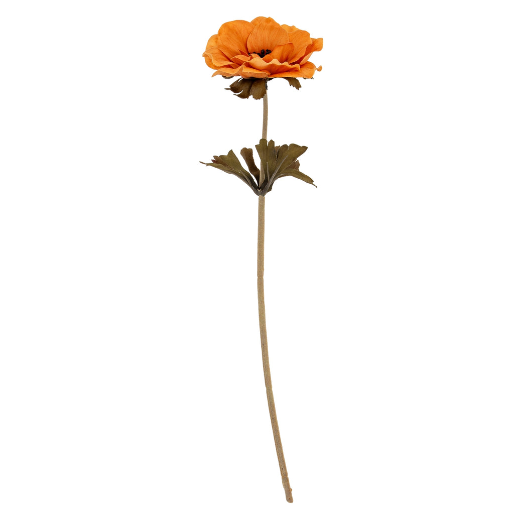 Yellow Anemone Stem