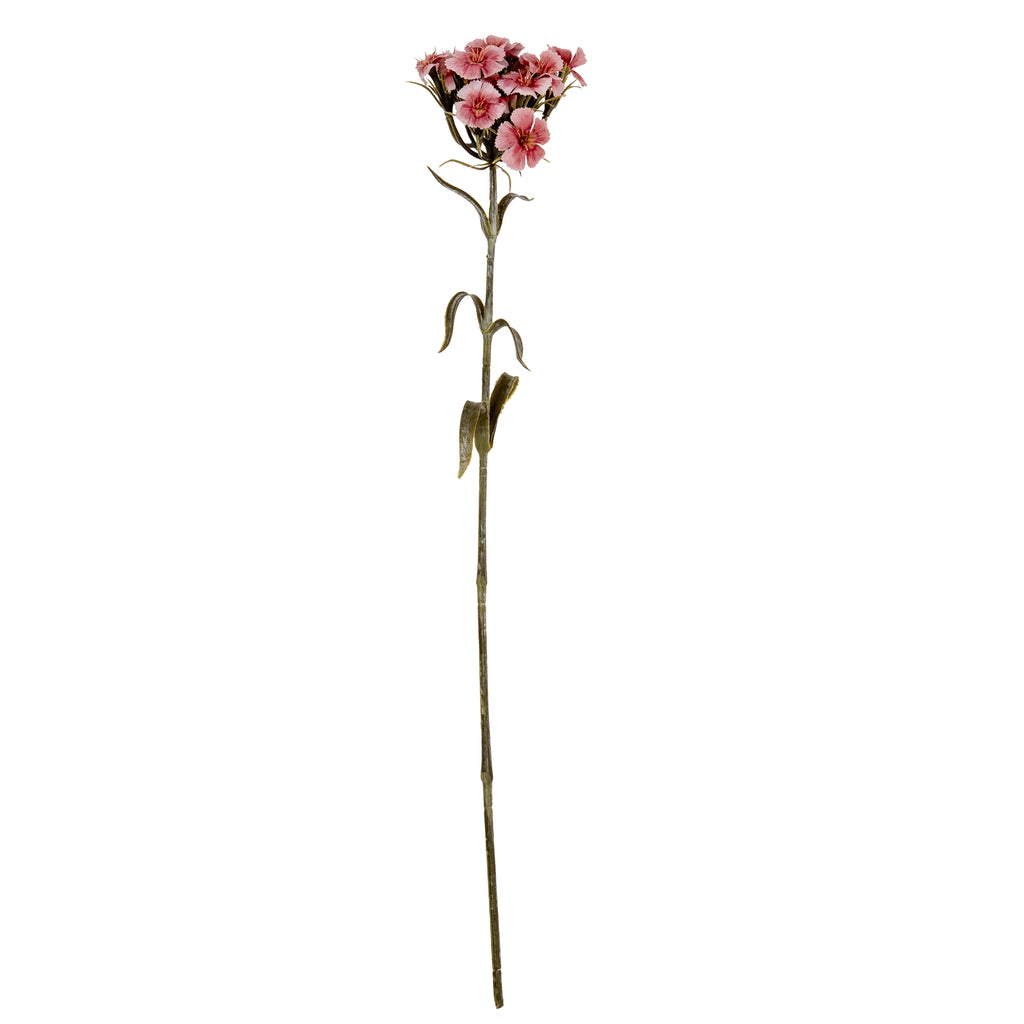 Pink Dianthus Spray