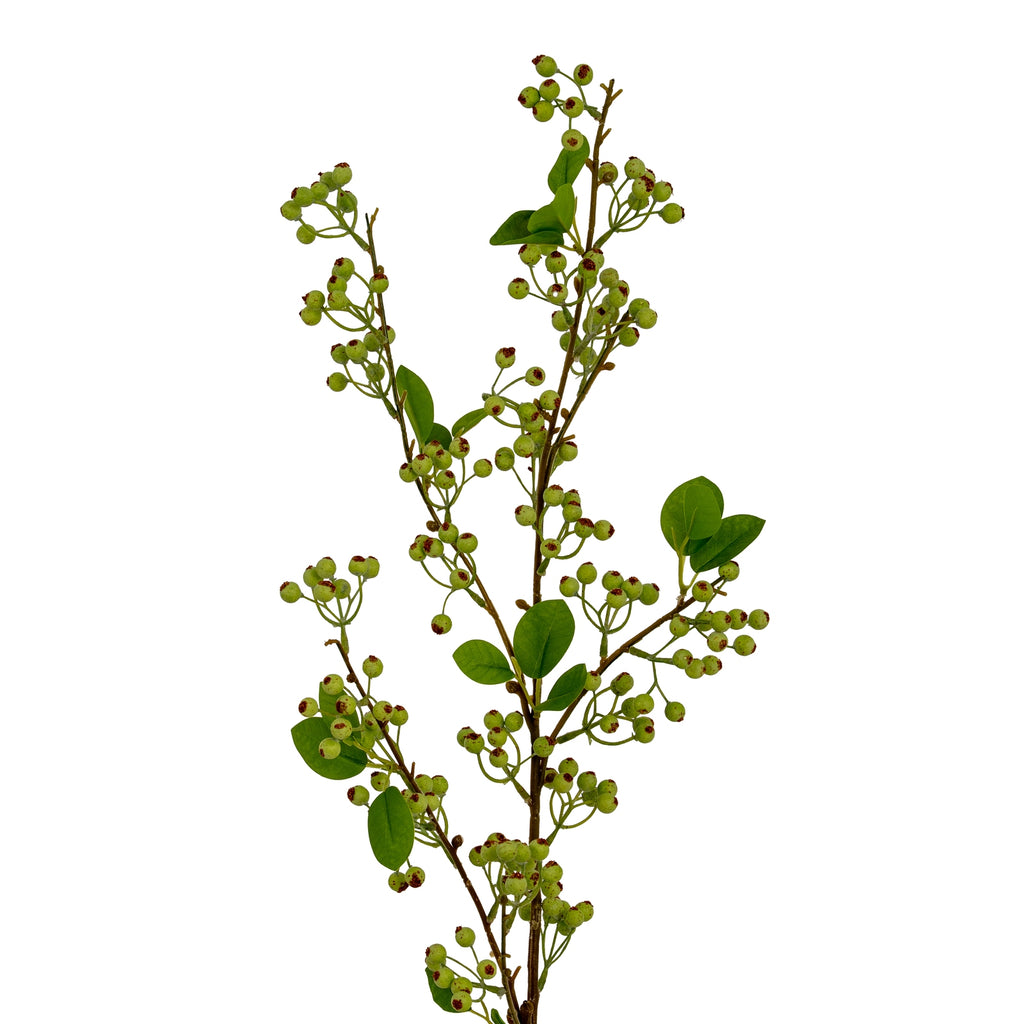 Green Mossberry Large Branch