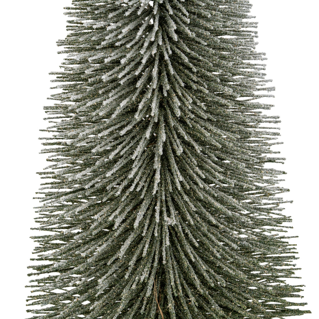 Large Spindle Brush Tree