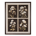 Flora & Fauna Collection Four Botanicals in Classic Frame