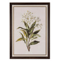 Flora & Fauna Collection White Wildflower on Linen in Frame