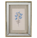 Rosalie Textured Paper Bluebell in Mirrored Frame