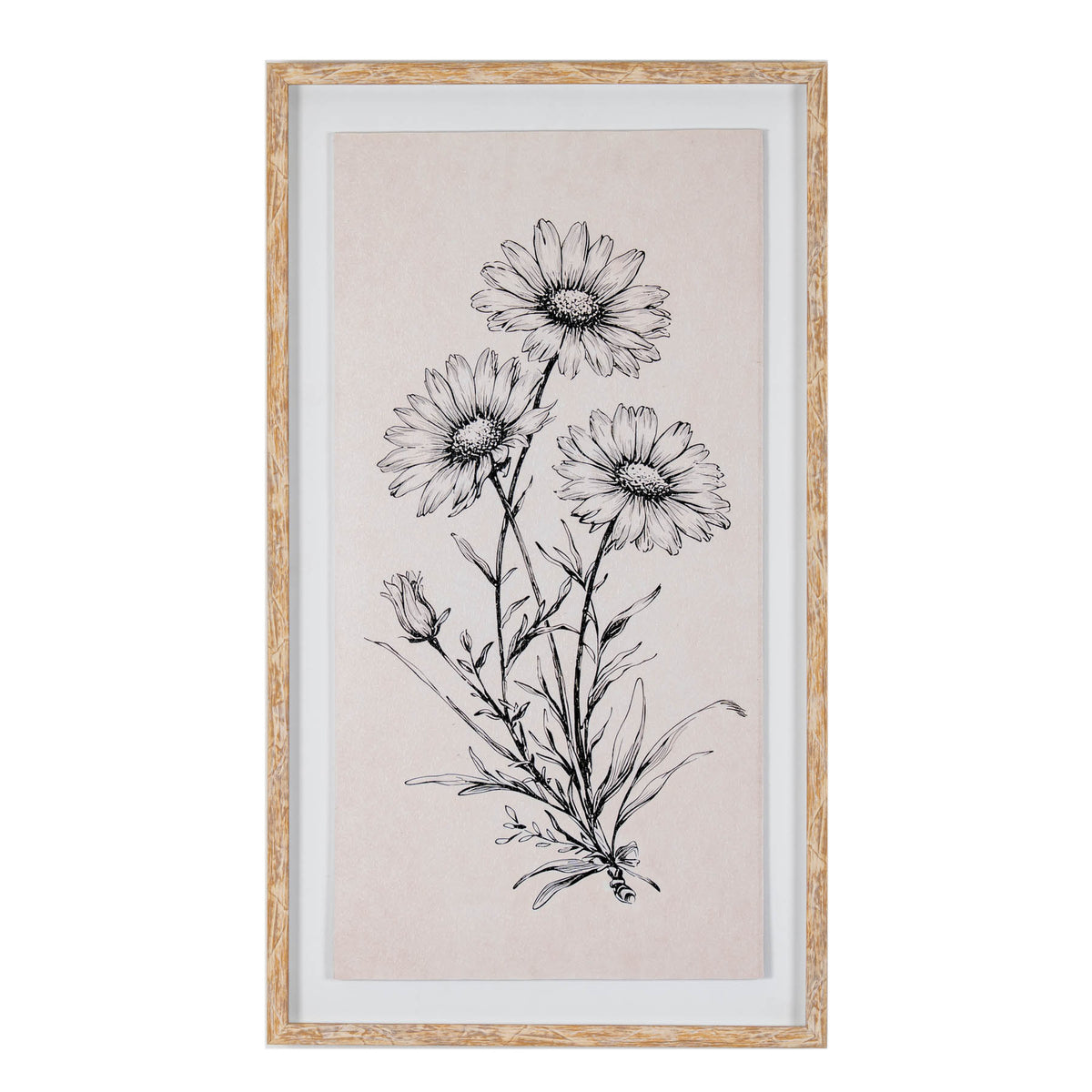 Sketchbook Daisies in Frame